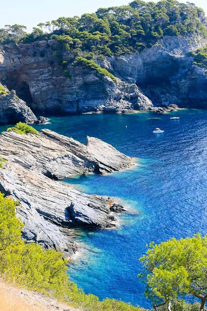 La Muscatelle Entre Mer Et Campagne Provencale La Farlede 0*,  France