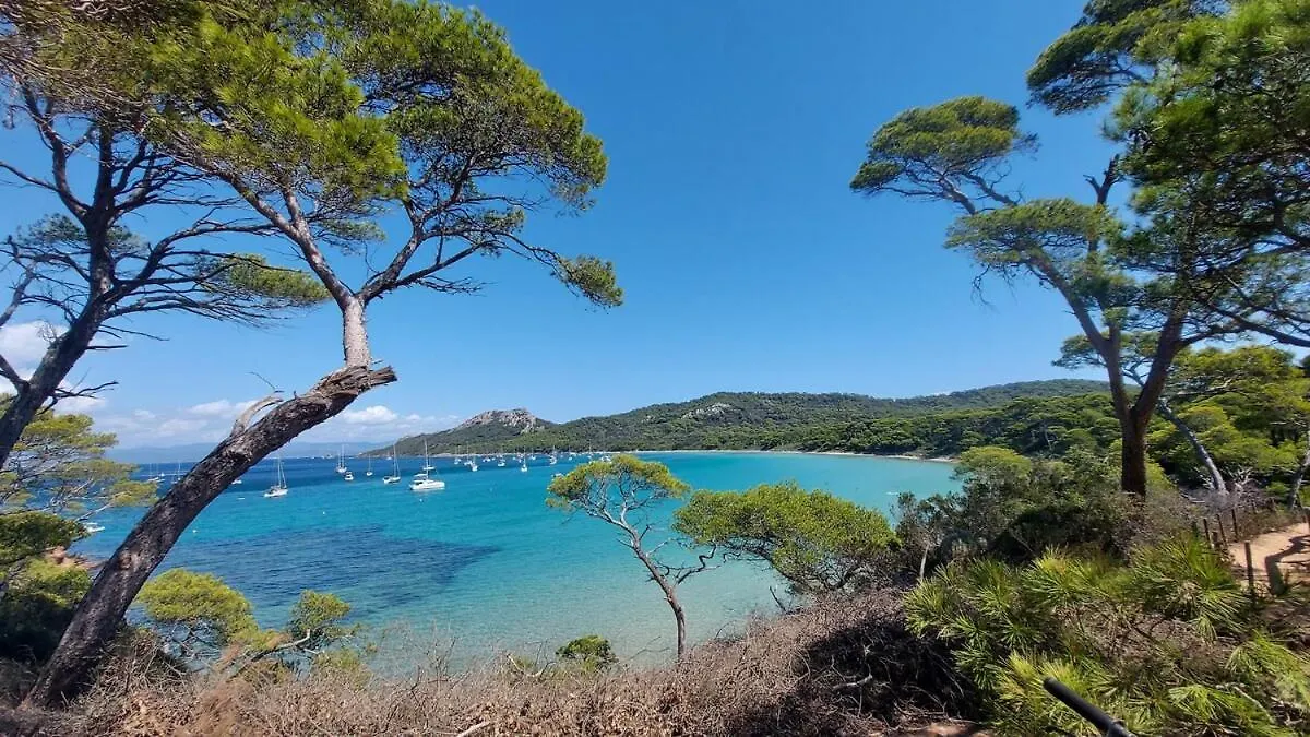 La Muscatelle Entre Mer Et Campagne Provencale La Farlede 0*,