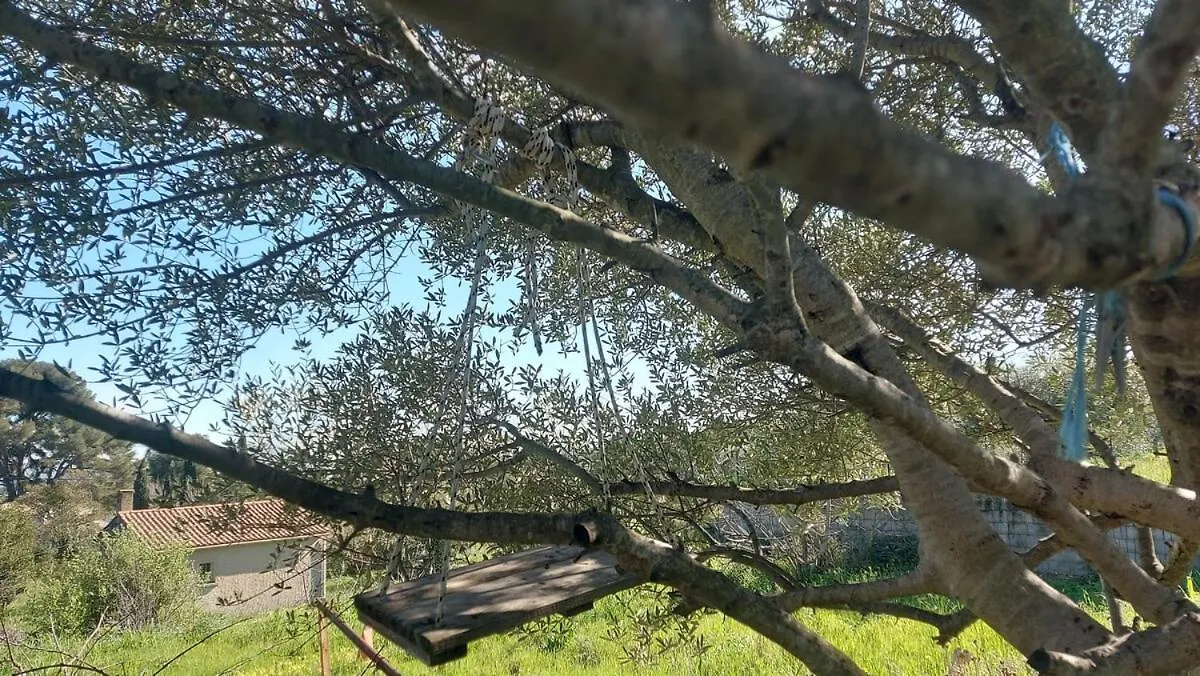 La Muscatelle Entre Mer Et Campagne Provencale La Farlede Villa