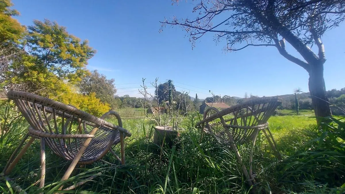 La Muscatelle Entre Mer Et Campagne Provencale La Farlede Villa