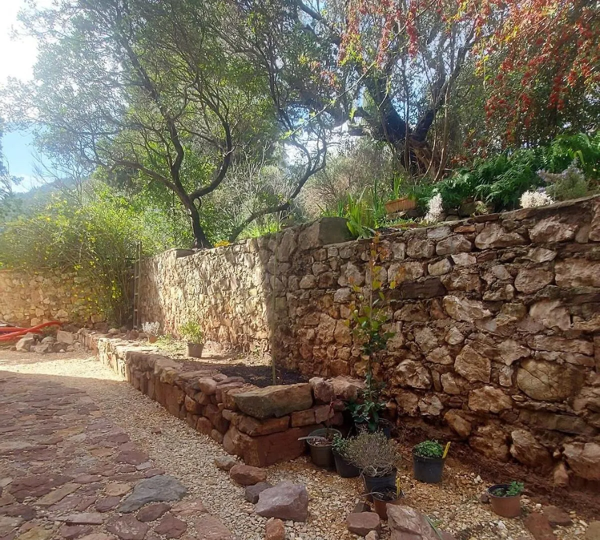 La Muscatelle Entre Mer Et Campagne Provencale La Farlede